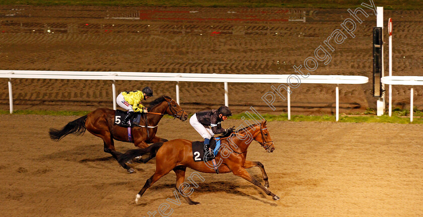 Manucci-0003 
 MANUCCI (William Buick) wins The chelmsfordcityracecourse.com Handicap
Chelmsford 8 Oct 2020 - Pic Steven Cargill / Racingfotos.com