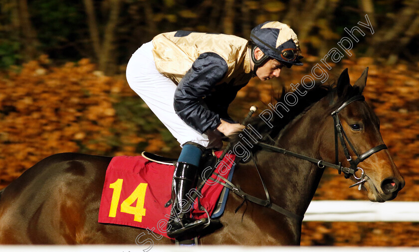 Ratification-0001 
 RATIFICATION (Callum Shepherd)
Kempton 13 Dec 2023 - Pic Steven Cargill / Racingfotos.com