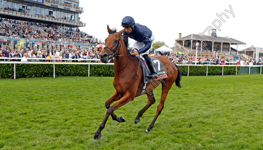 Emily-Dickinson-0001 
 EMILY DICKINSON (Sean Levey)
Doncaster 11 Sep 2022 - Pic Steven Cargill / Racingfotos.com