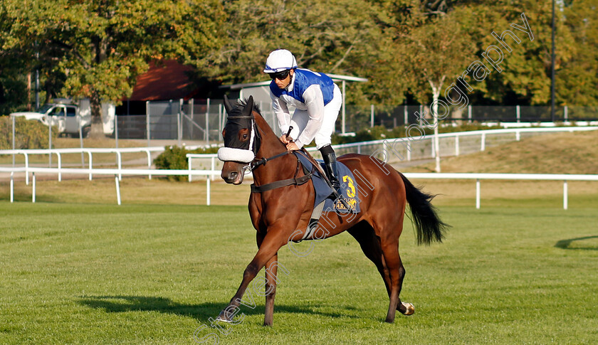 Crystal-Love-0007 
 CRYSTAL LOVE (Sandro De Paiva) winner of The Appel Au Maitre Svealandlopning
Bro Park, Sweden , 15 Sep 2024 - Pic Steven Cargill / Racingfotos.com