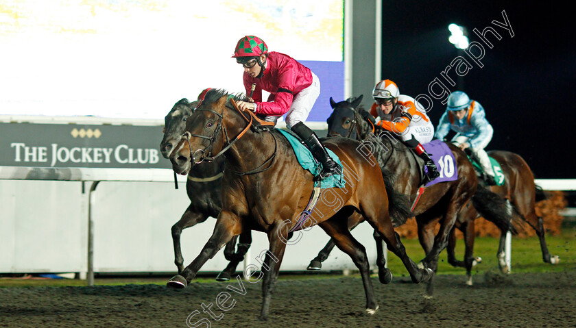 Nicks-Not-Wonder-0004 
 NICKS NOT WONDER (Callum Shepherd) wins The Try Our New Price Boosts At Unibet Handicap
Kempton 13 Jan 2021 - Pic Steven Cargill / Racingfotos.com