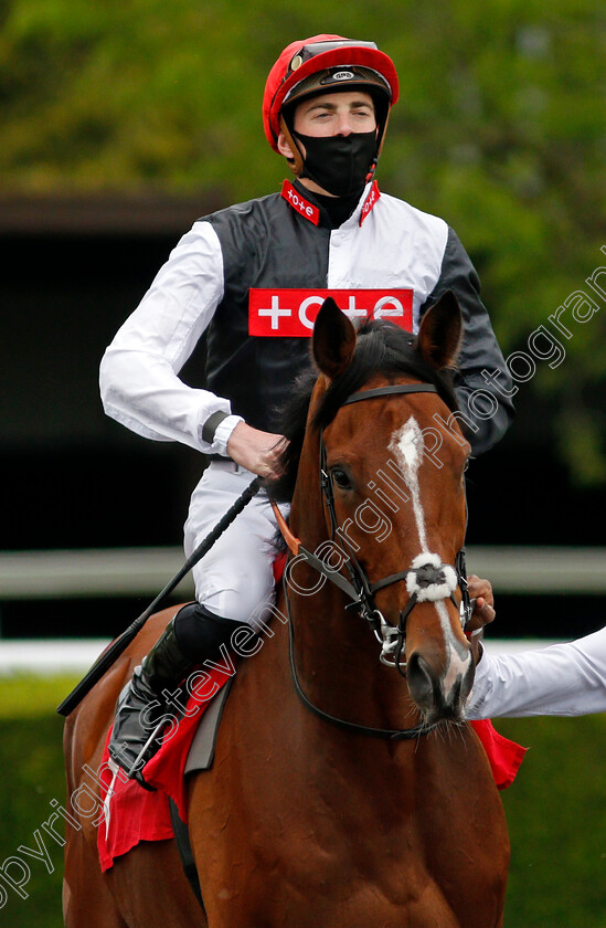 Mr-Curiosity-0001 
 MR CURIOSITY (James Doyle)
Kempton 2 Jun 2021 - Pic Steven Cargill / Racingfotos.com