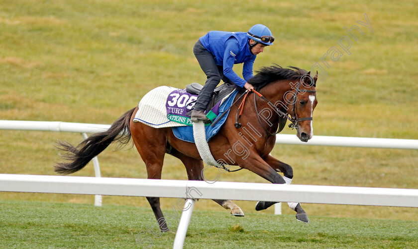 Nations-Pride-0002 
 NATIONS PRIDE training for the Breeders' Cup Turf 
Keeneland USA 2 Nov 2022 - Pic Steven Cargill / Racingfotos.com