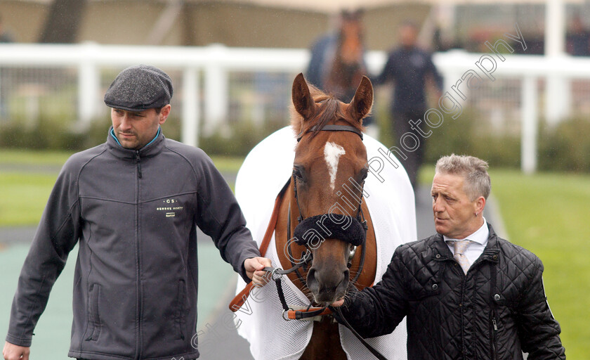 Narak-0010 
 NARAK 
Newbury 13 Jun 2019 - Pic Steven Cargill / Racingfotos.com