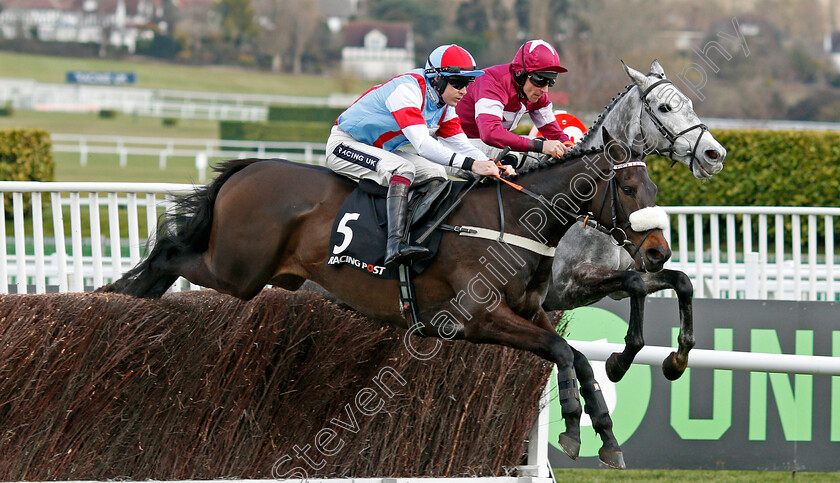 Saint-Calvados-0002 
 SAINT CALVADOS (nearside, Aidan Coleman) Cheltenham 13 Mar 2018 - Pic Steven Cargill / Racingfotos.com