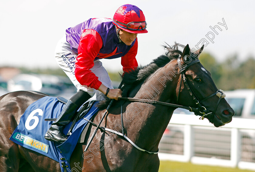 Romanised-0002 
 ROMANISED (Shane Foley) Sandown 2 Sep 2017 - Pic Steven Cargill / Racingfotos.com