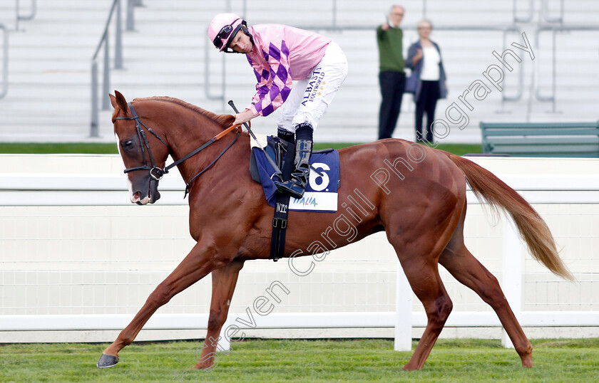 Kamikaze-Lord-0001 
 KAMIKAZE LORD (Ryan Moore)
Ascot 7 Sep 2018 - Pic Steven Cargill / Racingfotos.com