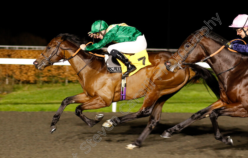 The-Quiet-Gent-0001 
 THE QUIET GENT (Hector Crouch) wins The Unibet Novice Stakes 
Kempton 4 Dec 2024 - pic Steven Cargill / Racingfotos.com