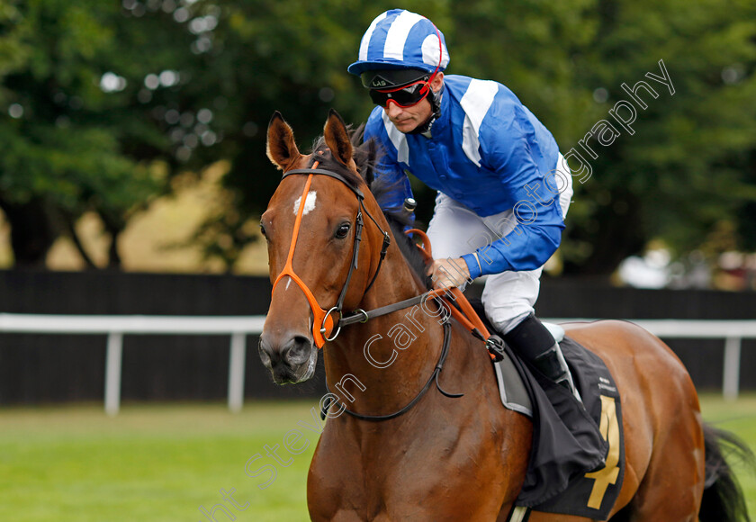 Al-Shibli-0002 
 AL SHIBLI (Dane O'Neill)
Newmarket 30th July 2022 - Pic Steven Cargill / Racingfotos.com