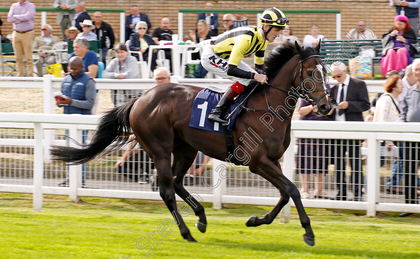 Spartan-Arrow-0001 
 SPARTAN ARROW (David Egan)
Yarmouth 13 Sep 2022 - Pic Steven Cargill / Racingfotos.com