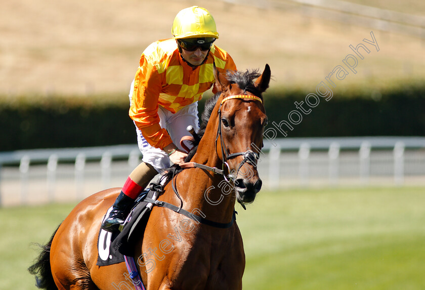 Second-Step-0001 
 SECOND STEP (Andrea Atzeni)
Goodwood 3 Aug 2018 - Pic Steven Cargill / Racingfotos.com