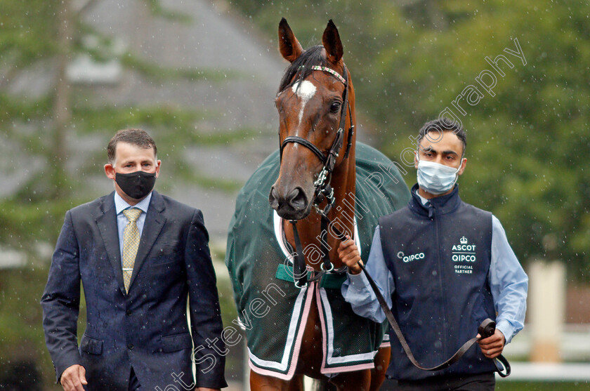 Enable-0008 
 ENABLE before winning The King George VI and Queen Elizabeth Stakes
Ascot 25 Jul 2020 - Pic Steven Cargill / Racingfotos.com