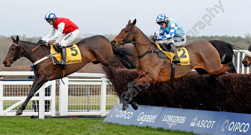 On-The-Blind-Side-and-Double-Shuffle-0002 
 ON THE BLIND SIDE (left, Nico de Boinville) with DOUBLE SHUFFLE (right, Jonathan Burke)
Ascot 21 Dec 2019 - Pic Steven Cargill / Racingfotos.com