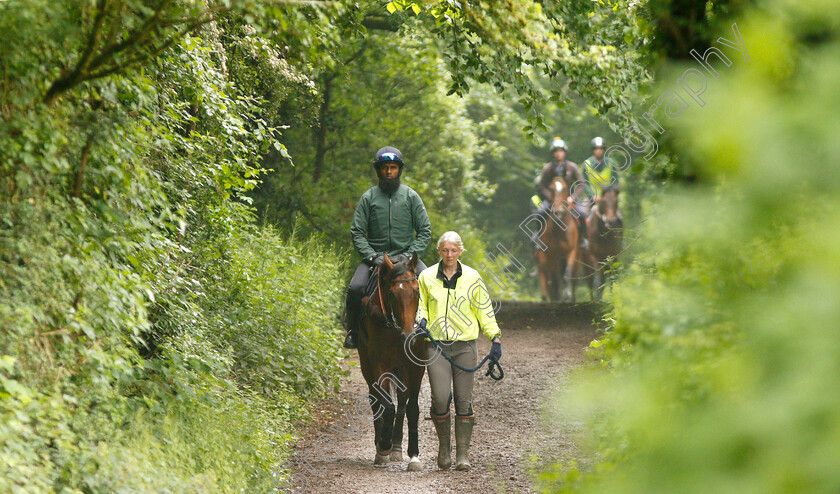 Knight-To-Behold-0011 
 KNIGHT TO BEHOLD, ridden by Mohammed Abdul Qazafi Mirza, walking home from the gallops with Christina Dunlop in preparation for The Investec Derby
Lambourn 31 May 2018 - Pic Steven Cargill / Racingfotos.com