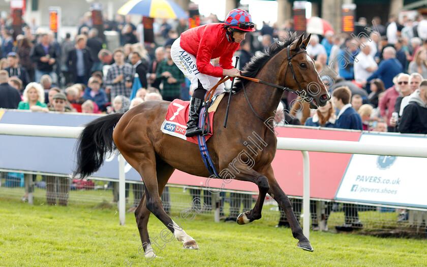 Mekong-0003 
 MEKONG (Ryan Moore)
York 15 Jun 2019 - Pic Steven Cargill / Racingfotos.com