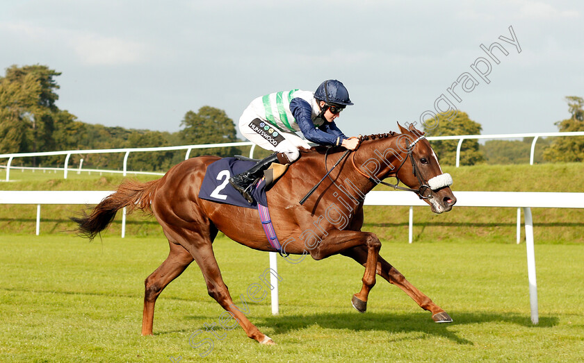 Meyandi-0003 
 MEYANDI (Joshua Bryan) wins The Daily Racing Specials At 188bet Apprentice Handicap Chepstow 6 Sep 2017 - Pic Steven Cargill / Racingfotos.com