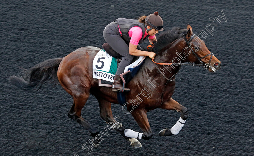 Westover-0001 
 WESTOVER training for the Sheema Classic
Meydan, Dubai, 21 Mar 2023 - Pic Steven Cargill / Racingfotos.com