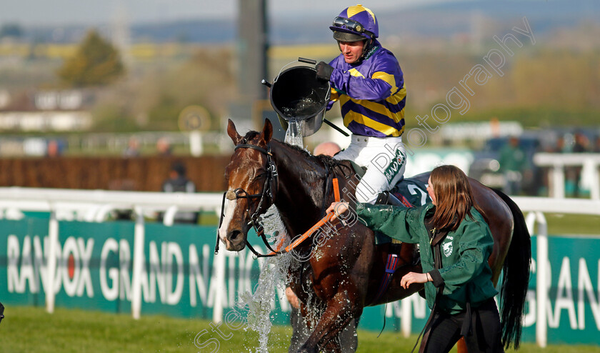 Corach-Rambler-0014 
 CORACH RAMBLER (Derek Fox) after winning The Randox Grand National
Aintree 15 Apr 2023 - Pic Steven Cargill / Racingfotos.com