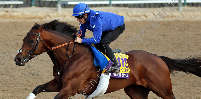 Thunder-Snow-0001 
 THUNDER SNOW exercising ahead of The Breeders' Cup Classic
Churchill Downs USA 31 Oct 2018 - Pic Steven Cargill / Racingfotos.com