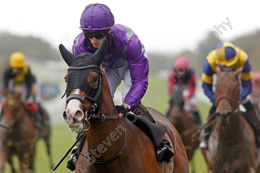 Atalanta s-Boy-0006 
 ATALANTA'S BOY (Thomas Greatrex) wins The Birra Moretti Handicap
Goodwood 25 Sep 2019 - Pic Steven Cargill / Racingfotos.com