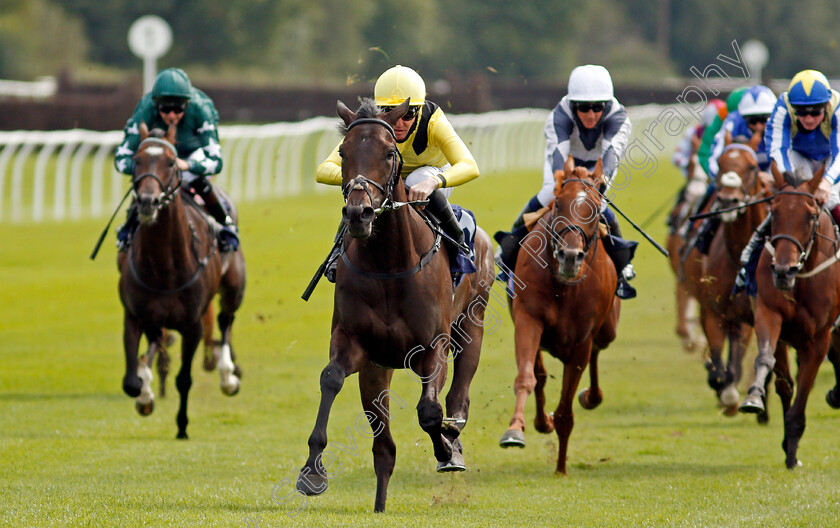 Myseven-0005 
 MYSEVEN (Pat Cosgrave) wins The Betway Novice Stakes
Lingfield 2 Sep 2020 - Pic Steven Cargill / Racingfotos.com