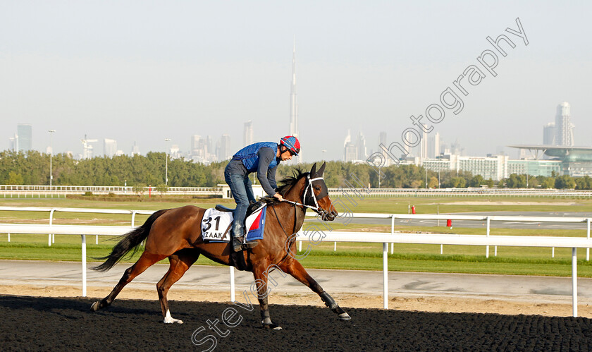 Nizaaka-0001 
 NIZAAKA training at Meydan, Dubai
2 Feb 2023 - Pic Steven Cargill / Racingfotos.com