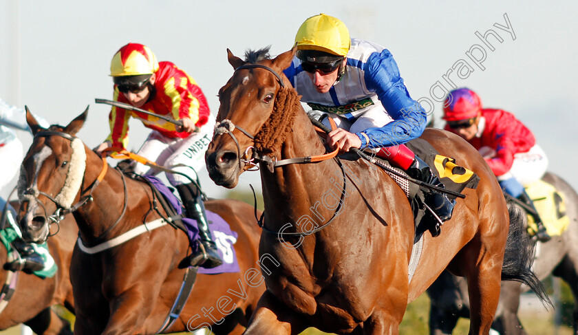 Crackin-Dream-0004 
 CRACKIN DREAM (Adam Kirby) wins The Racing TV Profits Returned To Racing Handicap Div1
Kempton 2 Oct 2019 - Pic Steven Cargill / Racingfotos.com