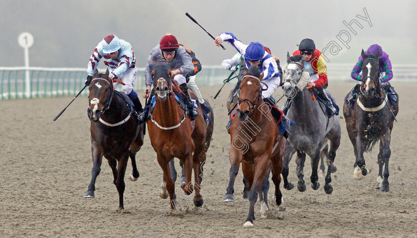 The-Warrior-0003 
 THE WARRIOR (right, Daniel Muscutt) beats AL DAIHA (centre) and TANQEEB (left) in The Bombardier March To Your Own Drum Handicap
Lingfield 4 Mar 2020 - Pic Steven Cargill / Racingfotos.com