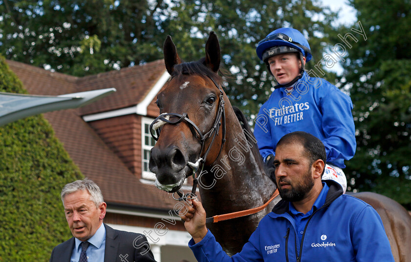 Passion-And-Glory-0005 
 PASSION AND GLORY (Hollie Doyle) winner of The Davies Insurance Services Gala Stakes
Sandown 1 Jul 2022 - Pic Steven Cargill / Racingfotos.com