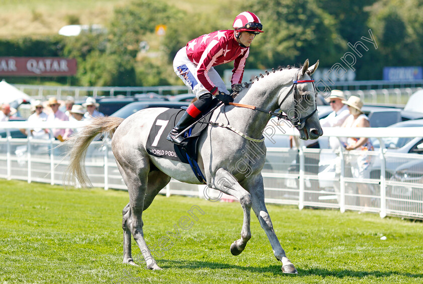 Tiger-Mask-0001 
 TIGER MASK (Clifford Lee)
Goodwood 30 Jul 2024 - Pic Steven Cargill / Racingfotos.com