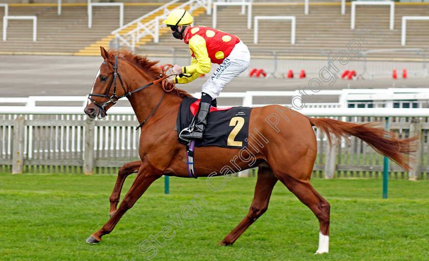 Appreciate-0001 
 APPRECIATE (Jack Mitchell)
Newmarket 30 Oct 2020 - Pic Steven Cargill / Racingfotos.com