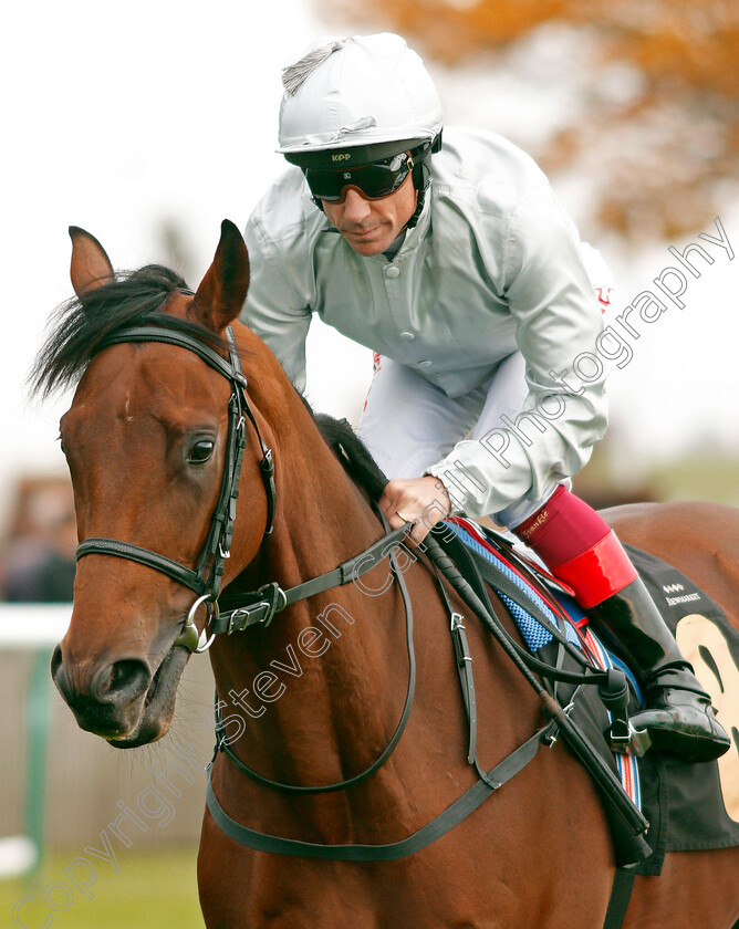 King-Leonidas-0001 
 KING LEONIDAS (Frankie Dettori) before The Coates & Seely Blanc De Blancs Novice Stakes Div1
Newmarket 23 Oct 2019 - Pic Steven Cargill / Racingfotos.com