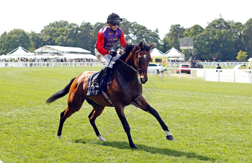 Perfect-Alibi 
 PERFECT ALIBI (Tom Marquand)
Royal Ascot 15 Jun 2022 - Pic Steven Cargill / Racingfotos.com