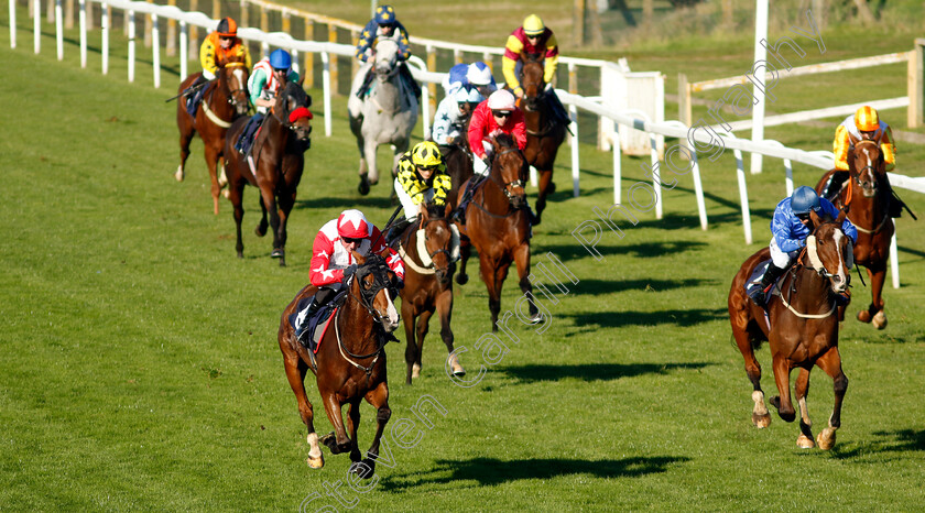 Jackamundo-0004 
 JACKAMUNDO (left, Harrison Shaw) beats DAS KAPITAL (right) in The Cazoo Handicap
Yarmouth 18 Oct 2022 - Pic Steven Cargill / Racingfotos.com