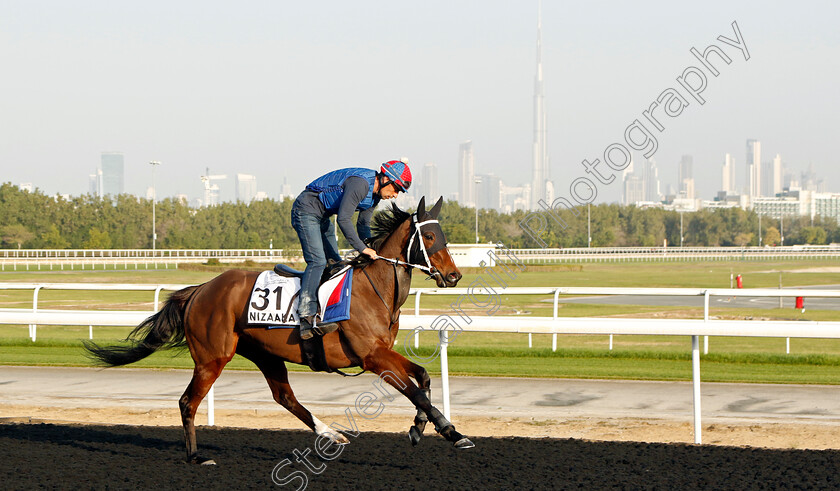 Nizaaka-0002 
 NIZAAKA training at Meydan, Dubai
2 Feb 2023 - Pic Steven Cargill / Racingfotos.com