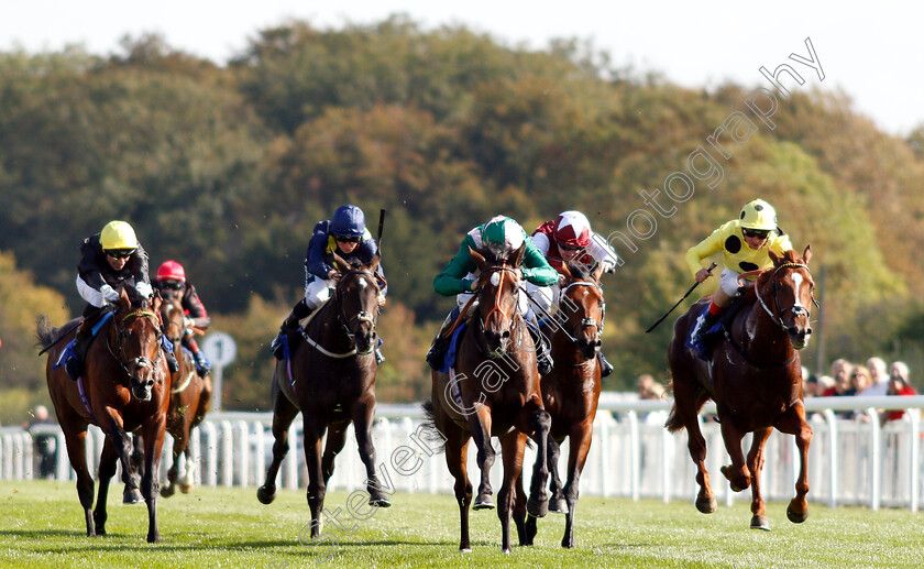 Kaloor-0001 
 KALOOR (Jim Crowley) wins The PKF Francis Clark EBF Novice Stakes Div1
Salisbury 3 Oct 2018 - Pic Steven Cargill / Racingfotos.com