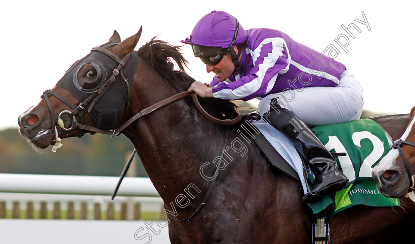 U-S-Navy-Flag-0007 
 U S NAVY FLAG (Seamie Heffernan) wins The Juddmonte Middle Park Stakes Newmarket 30 Sep 2017 - Pic Steven Cargill / Racingfotos.com