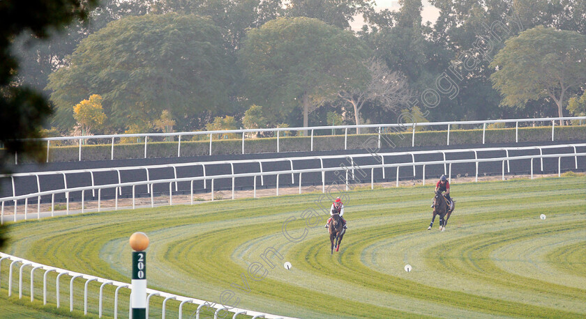 Prince-Of-Arran-0001 
 PRINCE OF ARRAN, trained by Charlie Fellowes, leading THUNDERBOLT ROCKS, trained by Hugo Palmer, exercising in preparation for The Dubai World Cup Carnival, Meydan 18 Jan 2018 - Pic Steven Cargill / Racingfotos.com