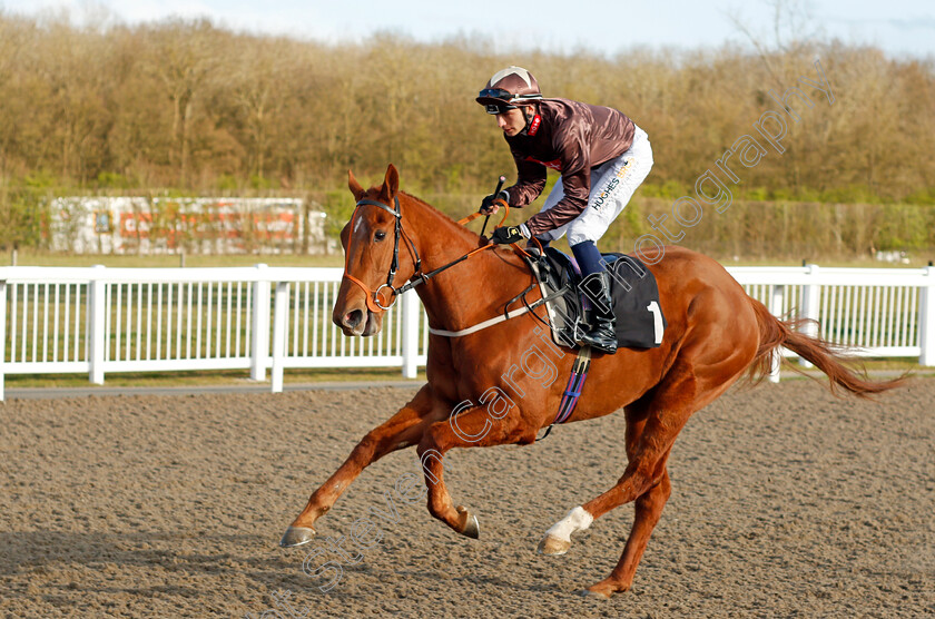 Theoretical 
 THEORETICAL (Ben Robinson)
Chelmsford 31 Mar 2022 - Pic Steven Cargill / Racingfotos.com