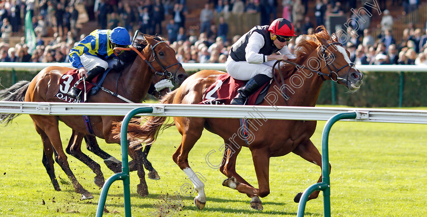 Kyprios-0003 
 KYPRIOS (Ryan Moore) wins The Qatar Prix de Cadran
Longchamp 5 Oct 2024 - Pic Steven Cargill / Racingfotos.com