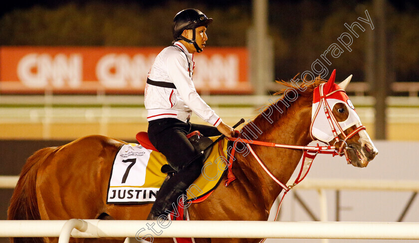 Justin-0001 
 JUSTIN training for The Golden Shaheen
Meydan, Dubai, 22 Mar 2023 - Pic Steven Cargill / Racingfotos.com