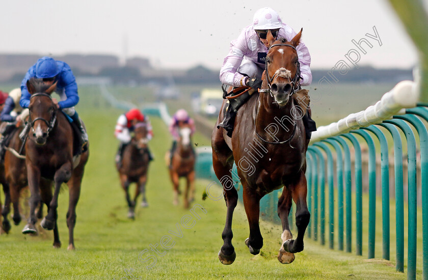 Anzac-Day-0003 
 ANZAC DAY (James Doyle) wins The Visit racingtv.com Maiden Stakes
Newmarket 25 Oct 2023 - Pic Steven Cargill / Racingfotos.com