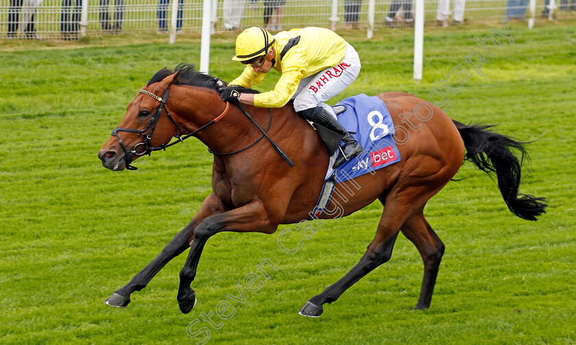 Gaassee-0004 
 GAASSEE (Tom Marquand) wins The Sky Bet Race To The Ebor Jorvik Handicap
York 11 May 2022 - Pic Steven Cargill / Racingfotos.com