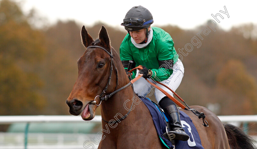 Amber-Island-0002 
 AMBER ISLAND (Laura Pearson) winner of The Play Coral Racing Super Series For Free EBF Fillies Handicap
Lingfield 1 Dec 2021 - Pic Steven Cargill / Racingfotos.com