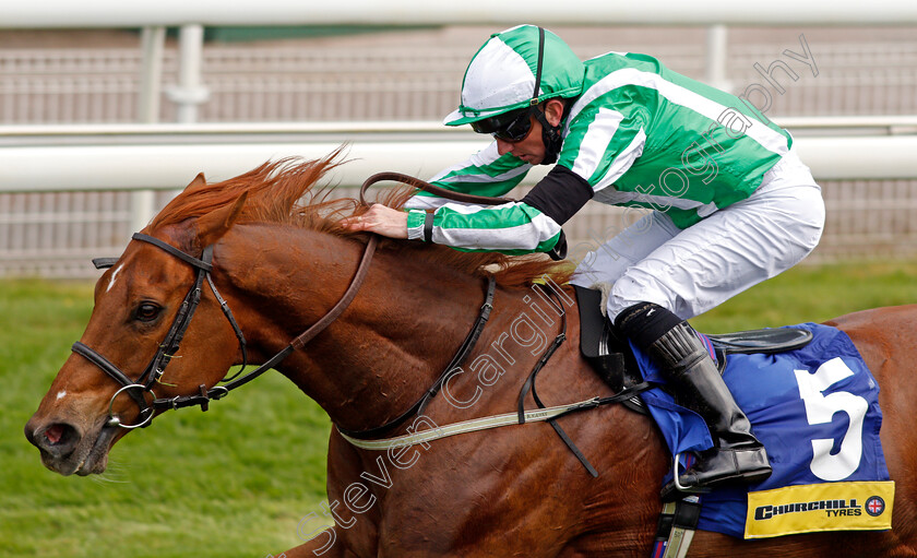 Mr-Lupton-0006 
 MR LUPTON (Paul Hanagan) wins The Churchill Tyres Handicap
York 12 May 2021 - Pic Steven Cargill / Racingfotos.com