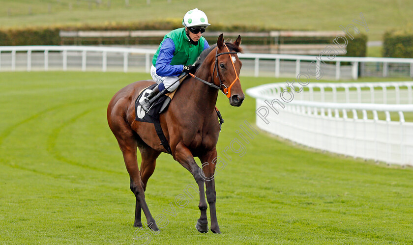 Chairmanic-0001 
 CHAIRMANIC (Jim Crowley)
Goodwood 23 Sep 2020 - Pic Steven Cargill / Racingfotos.com