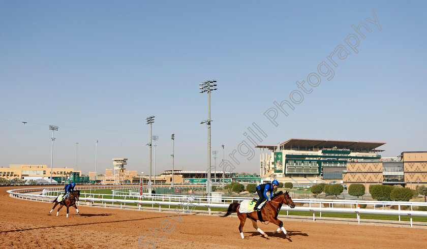 Dubai-Future-and-White-Moonlight-0001 
 DUBAI FUTURE (right) leads WHITE MOONLIGHT (left) training for The Neom Turf Cup
King Abdulaziz Racecourse, Kingdom Of Saudi Arabia, 23 Feb 2023 - Pic Steven Cargill / Racingfotos.com