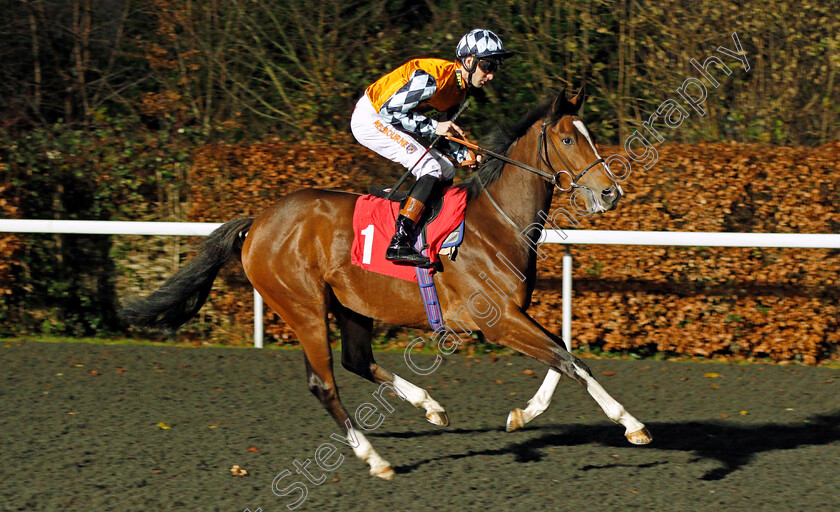 Rusper-0001 
 RUSPER (Dougie Costello) winner of The Matchbook VIP Novice Stakes Div1 Kempton 13 Dec 2017 - Pic Steven Cargill / Racingfotos.com