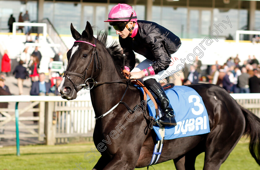 First-Instinct-0001 
 FIRST INSTINCT (Tom Marquand)
Newmarket 11 Oct 2024 - Pic Steven Cargill / Racingfotos.com