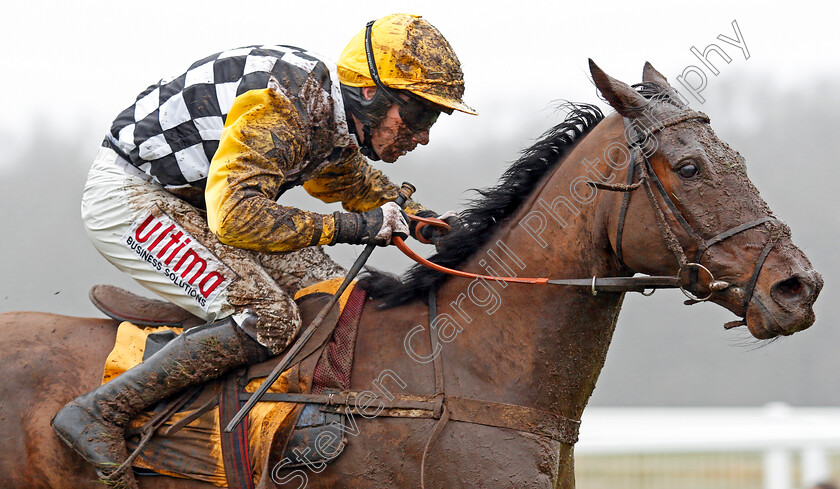 Talkischeap-0004 
 TALKISCHEAP (Wayne Hutchinson) wins The Betfair Cash Out Handicap Hurdle Newbury 10 Feb 2018 - Pic Steven Cargill / Racingfotos.com